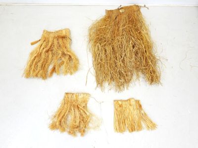 plusieurs brins de paille sont disposés sur une surface blanche
