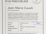 Photo 2/2 du lot