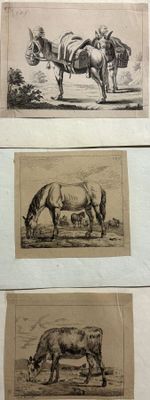 quatre photos différentes de chevaux et d'une vache dans un champ