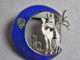 a lapel pin with a picture of a man riding a camel