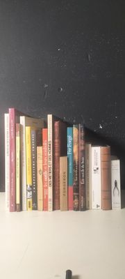 le nombre de livres qui se trouvent sur une étagère dans une pièce