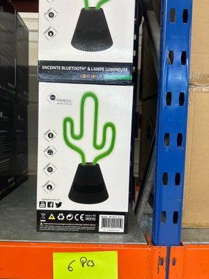 Lot de 6 pièces enceinte cactus