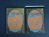 two magic the gathering deck protectors