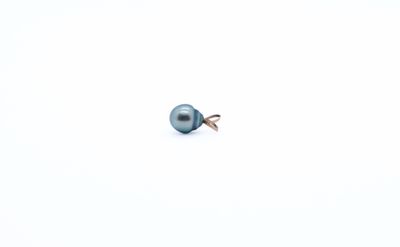 an image of a single pearl on a white surface