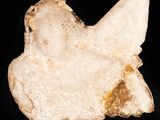 a close up of a piece of rock on a black background