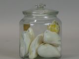 a glass jar with shells inside of it on a table