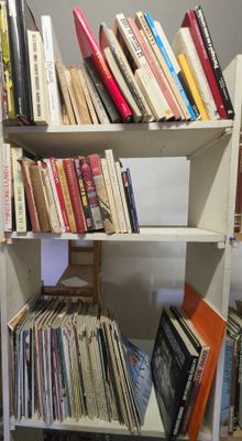 une étagère avec de nombreux livres dans une pièce