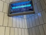 a blue light that is hanging from the ceiling of a bathroom