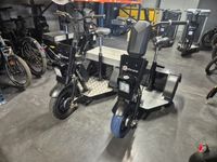 Lot de 2 triporteurs électriques COBRANE, 1 sans plaque appa…