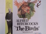 affiche du film « Les Oiseaux » d'Alfred Hitchcock