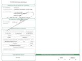 a green and white document with a picture of a person on it