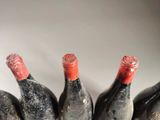 several bottles of wine are lined up in a row