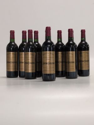 six bouteilles de vin sont alignées sur une surface blanche
