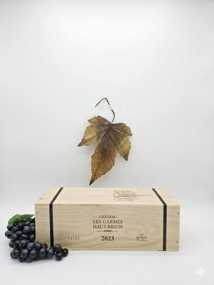 Bordeaux - Lot de 1 Magnum en caisse bois d'origine individu…