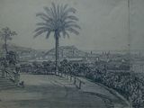 un dessin représentant une vue de ville avec un palmier au premier plan