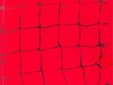 an image of a red glass plate with black lines on it