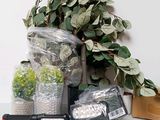 a plant that is sitting next to a box of plants