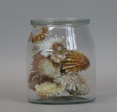 a glass jar filled with dried flowers on a white surface