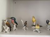 many birds that are sitting on top of a shelf