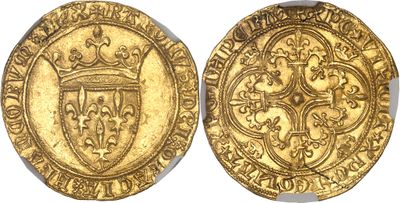 a gold coin with a crown and shield on it
