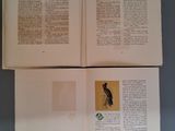 two pages of a book with a picture of a bird on them