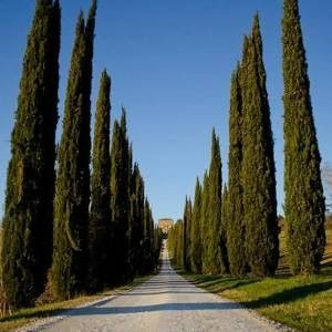 Destockage & Invendus