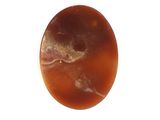 Photo 2/2 du lot