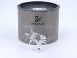 a silver crystal figurine sitting in a black container