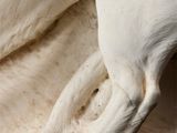 statue of a white dog laying on top of a piece of wood