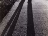 Photo 1/1 du lot