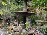 une fontaine au milieu d'un jardin, entourée de plantes et de rochers