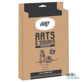 une boîte contenant un chat et une souris, sur fond blanc