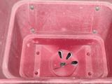 a pink container with spoons in it and a spoon sticking out of it