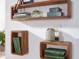 two wooden shelves on the wall with books and plants