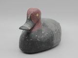un canard noir et rose aux yeux jaunes sur fond blanc