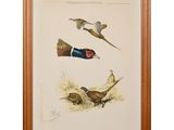 a painting of pheasants and pheasants on a white background