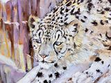 an oil painting of a snow leopard resting on a rock