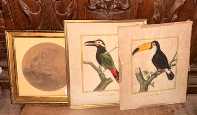 deux photos encadrées représentant des oiseaux posés sur une table en bois