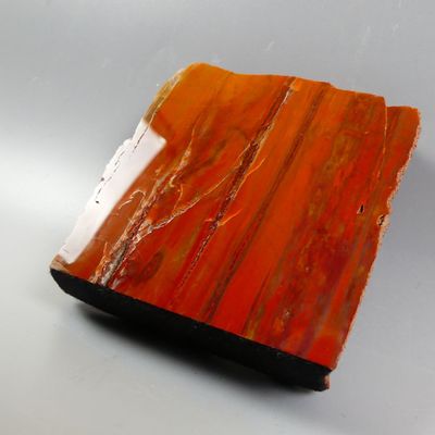 Fossiles de collection. Bois fossile, plaque polie, Arizona. - Photo 1