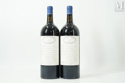 deux bouteilles de vin rouge posées l'une à côté de l'autre sur une surface blanche