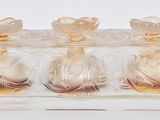 cinq vases en verre posés dans un support transparent sur une surface blanche
