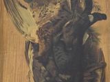 Photo 2/5 du lot