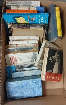 une boîte pleine de livres posée sur le sol