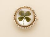 an image of a four leaf clover broochle on a white surface