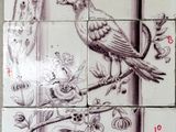 une photo d'une photo d'un mur sur lequel figure une photo d'un paon