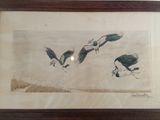 trois oiseaux qui volent ensemble dans le ciel