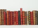 de nombreux livres alignés sur une étagère