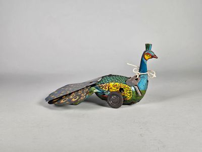 un oiseau aux couleurs vives qui est posé par terre