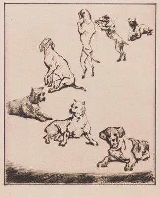Paul Renouard (1845-1924) Études de chiens.