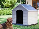 un chien allongé dans l'herbe à côté d'une niche